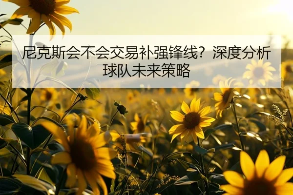 尼克斯会不会交易补强锋线？深度分析球队未来策略